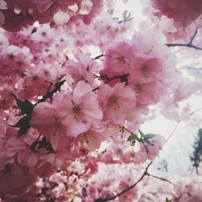 Profile Picture of Kim_mire (@Marha76643168) on Twitter