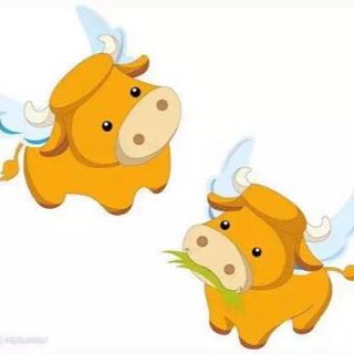 Profile Picture of Xiaonan Wu (@xiaonan.wu.98) on Facebook