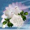 Profile Picture of Cindy Braddock (@user320755808742) on Tiktok