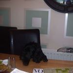 Profile Picture of Kate McQuaid (@kate.mcquaid.3) on Instagram