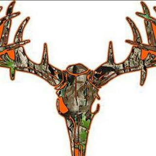 Profile Picture of Zach Travis (@Zach-Travis) on Facebook