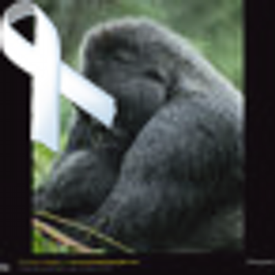 Profile Picture of Tony Collett (@nzkiwicuz) on Twitter