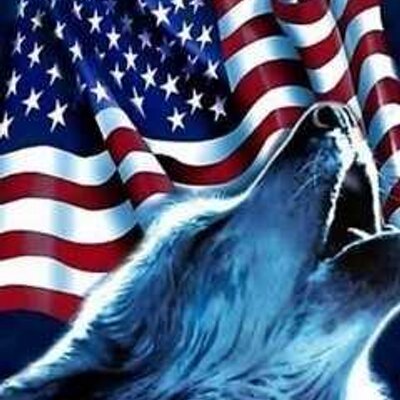 Profile Picture of William Stargel (@Willie82811) on Twitter