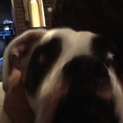 Profile Picture of Angel Bell Clark (@BellAngel21) on Twitter