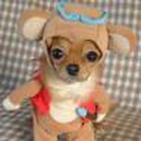 Profile Picture of Joys Tandian (@joys-tandian) on Quora