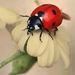 Profile Picture of edwarda soderberg (@edwardasoderber) on Pinterest