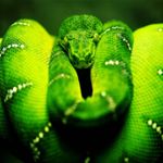 Profile Picture of Steve Fosselman (@fosmosis84) on Instagram