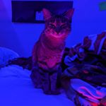 Profile Picture of Caleb (@caleb.shepard999) on Instagram