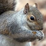 Profile Picture of crystalsquibb_40 (@crystalsquibb_40) on Instagram