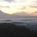 Profile Picture of James Salim (@james_salim98) on Instagram