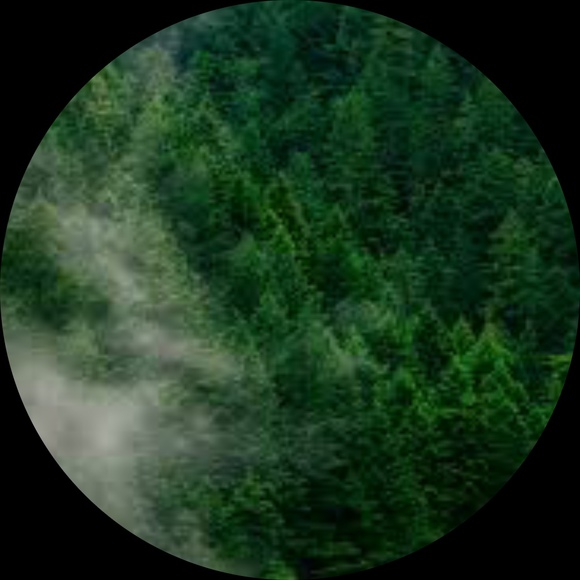 Profile Picture of Isabell Morgan (@imorg2001234) on Poshmark