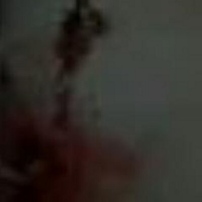 Profile Picture of Kevin Orwell (@kevin_orwell) on Twitter