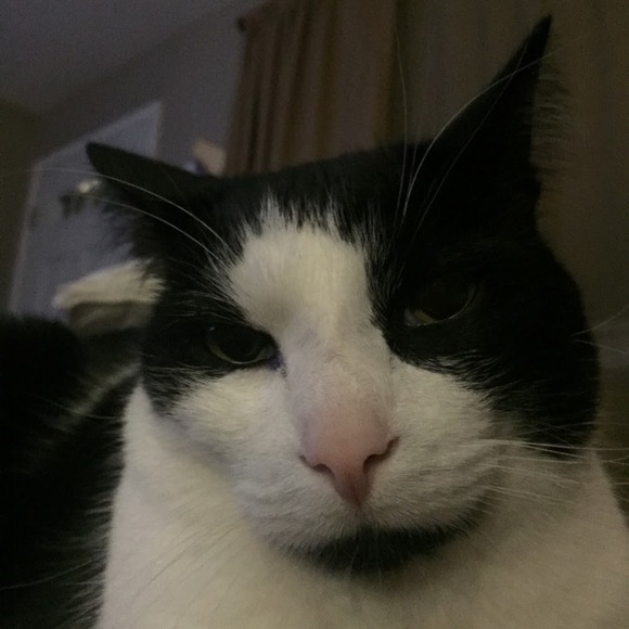 Profile Picture of Nicki Keomany (@nkeowct) on Poshmark