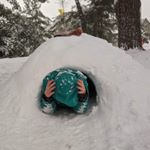 Profile Picture of quinn 💖 (@quinn.bello) on Instagram