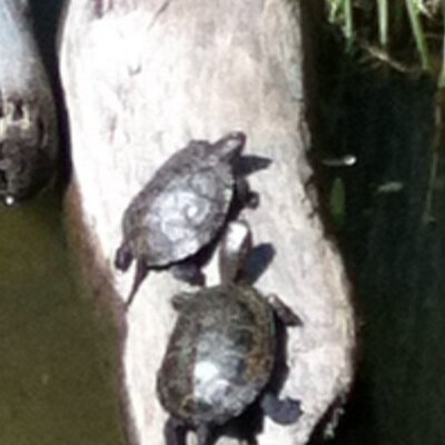 Profile Picture of Kevin Mulder (@KevinMulder_) on Twitter