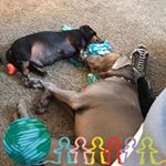 Profile Picture of Gary Schuller (@gary.schuller.37) on Instagram