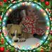 Profile Picture of Meredith Pitts (@meredith.pitts.3) on Facebook