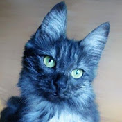 Profile Picture of Benjamin Hayes (@angusadventures373) on Youtube