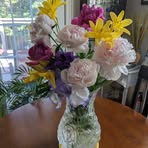 Profile Picture of Joanne Bloxam (@Joanne-Bloxam) on Facebook