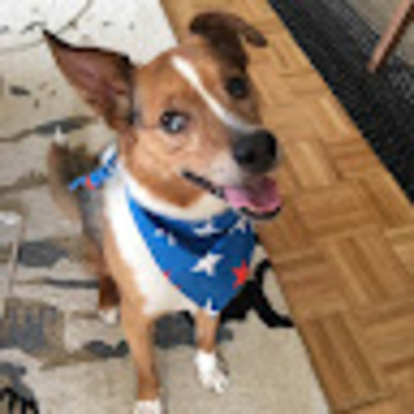 Stacy Wong - Poshmark Profile Picture of Stacy Wong (@nycstacy) on Poshmark