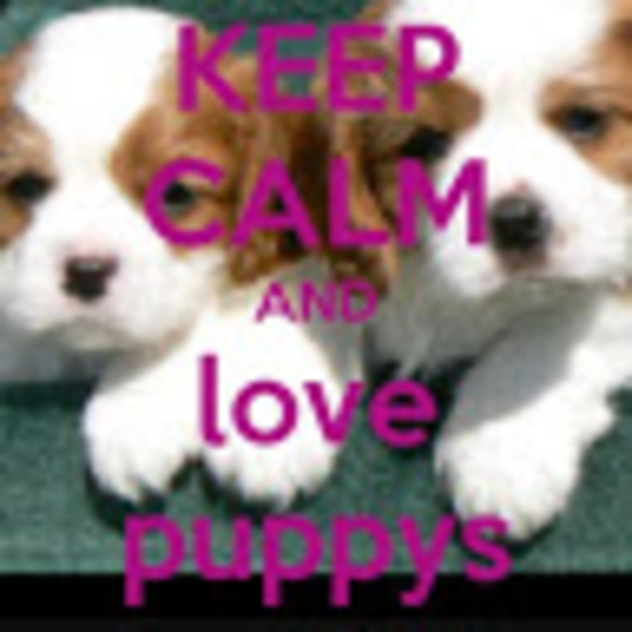 Profile Picture of Brielle Wright (@brielle_wright) on Poshmark