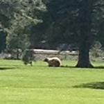 Profile Picture of Scott Bennett (@redtara08) on Flickr