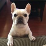 Profile Picture of Jill Mckenney (@mckenneyjill) on Instagram