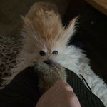 Profile Picture of Michael Wright (@michaelwright19892022) on Instagram