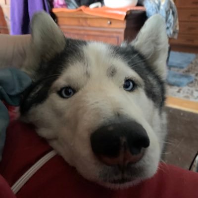 Profile Picture of Jakob Plante (@jakobPlante) on Twitter