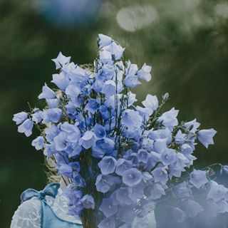 Profile Picture of Berenice Shiffer (@berenice.shiffer.1) on Facebook