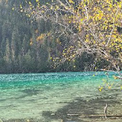 Profile Picture of Amanda Larocque (@amandalarocque5316) on Youtube