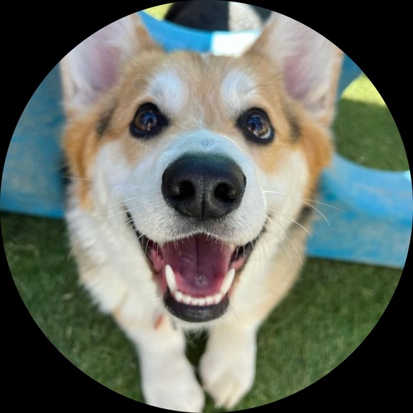 Profile Picture of David Sackett (@dmsackett88) on Poshmark