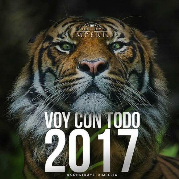 Profile Picture of John Rivera (@johnrivera43) on Poshmark