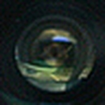 Tamara González - Flickr Profile Picture of Tamara González (@tam_blmr) on Flickr