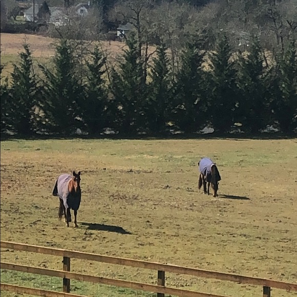 Profile Picture of Lisa Pongon (@nwmama) on Poshmark