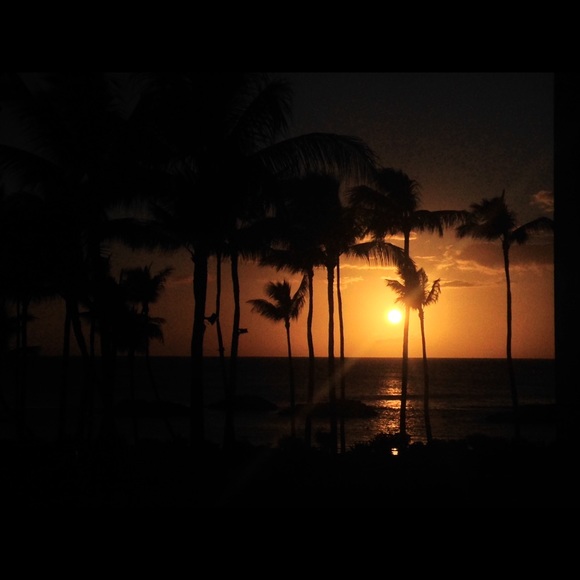 Profile Picture of Aaron Feliciano (@aaron_638234) on Poshmark