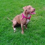 Profile Picture of Nubia Jimenez (@nubia.jimenez.16) on Instagram