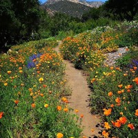 Profile Picture of Alice Whittemore (@alice-whittemore-2) on Quora