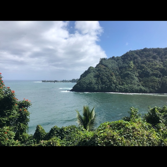 Profile Picture of Samantha Lases (@slases) on Poshmark