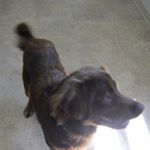 Profile Picture of James MacCormack (@jamesmaccormack) on Instagram