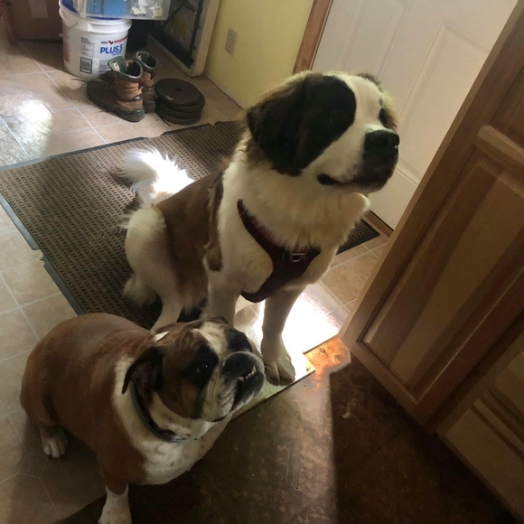 Profile Picture of Wayne Grant (@flicker62) on Poshmark