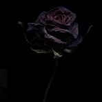 Profile Picture of Derek Troads (@Derek-Troads) on Facebook