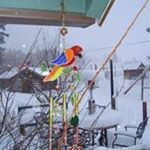 Profile Picture of JoAnn Tompkins Chance (@joann.t.chance) on Instagram