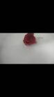 Profile Picture of   TikTok de Rose Rego... (@rose_rego_makeup) on Tiktok