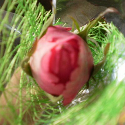 Profile Picture of John Marie Terrado (@ahmnahj) on Twitter