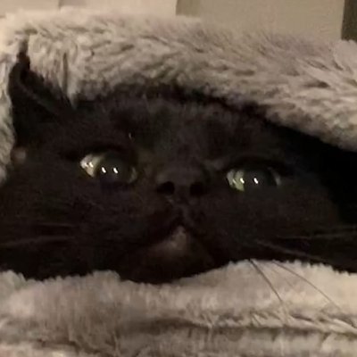 Profile Picture of Tristan Walsh (@Tristan67668057) on Twitter