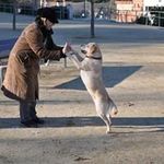 Profile Picture of Tony Toran Luque (@toranluque) on Instagram