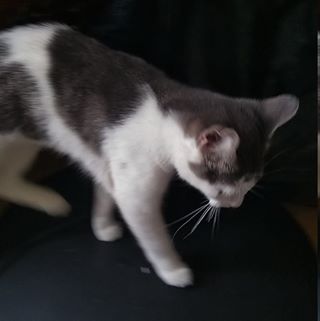 Profile Picture of Eva Bahena (@eva.bahena.3766) on Facebook