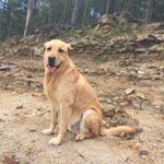 Profile Picture of Mtoliver (@michelle.toliver1) on Instagram