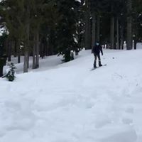 Profile Picture of Jake Bradshaw (@jake-bradshaw-10) on Quora